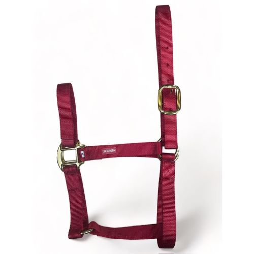 Jaquimón Reata Adulto Rojo Sangre - Kuido equino
