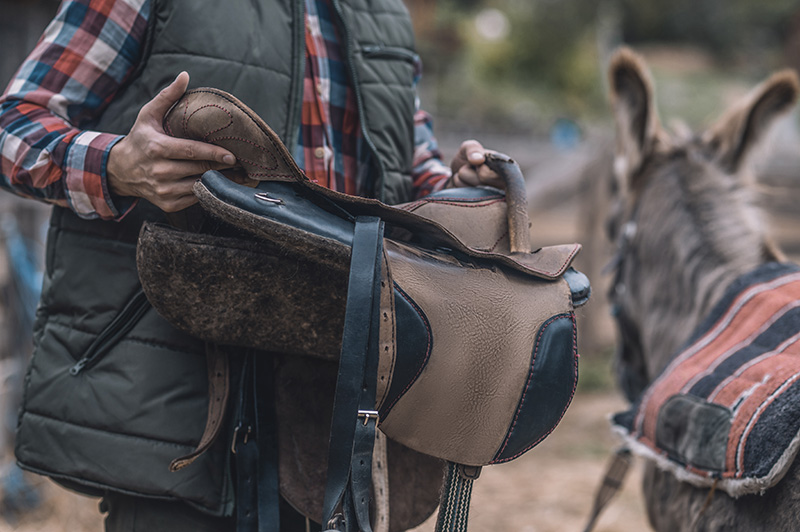 Kuido Equino - Alforjas para caballos