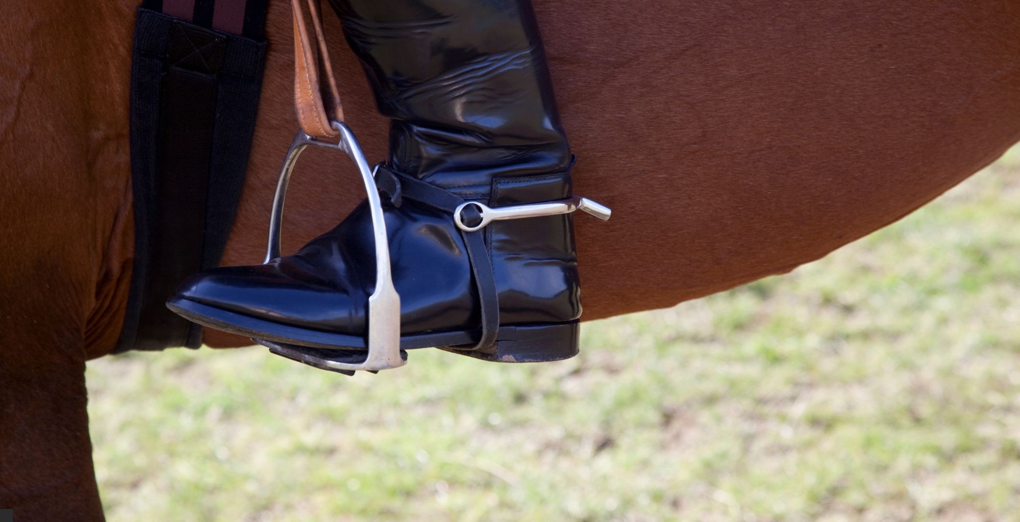 espuelas para caballo
