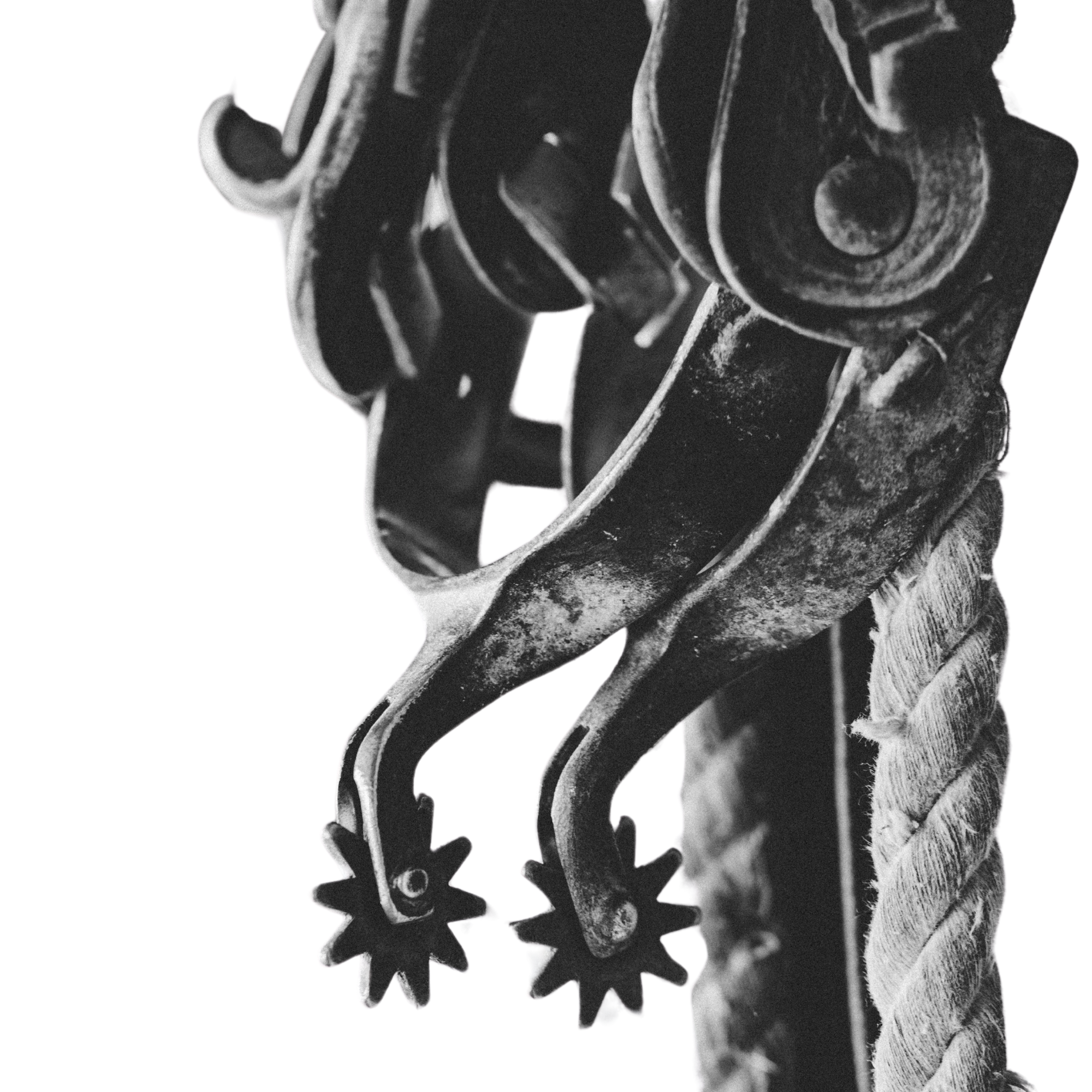 Espuelas para caballos