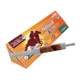 Natural ATP - Kuido